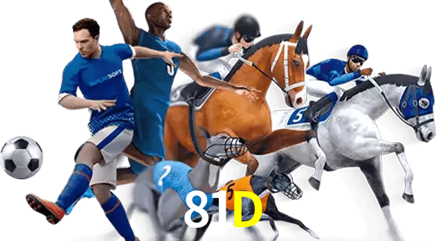 81D